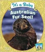 It's a Baby Australian Fur Seal!