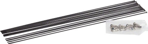 Algopix Similar Product 15 - 
