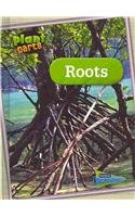 Roots by Melanie Waldron