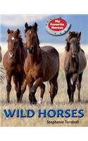 Wild Horses by Stephanie Turnbull