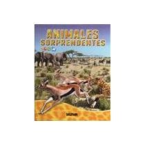 Animales sorprendentes / Amazing Animals by Jenny Johnson