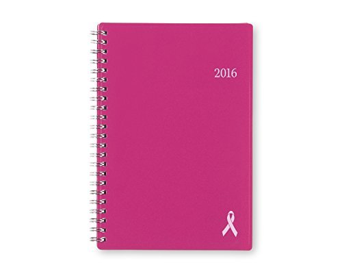 Blue Sky 2016 Breast Cancer Awareness 