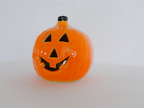 Algopix Similar Product 20 - Small Round Pumpkin