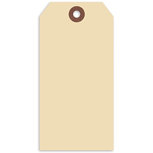 Algopix Similar Product 9 - Merangue 1000 Pack Shipping Tags Sz6