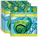 Mathematics - Teacher's Edition (Grade 5 Volume 2) by Randall I. Charles
