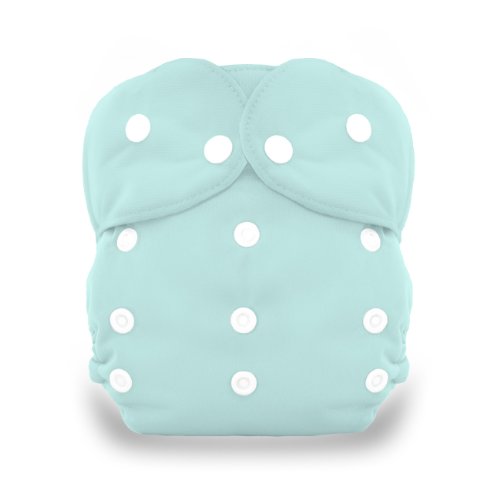 Algopix Similar Product 9 - Thirsties Duo All In One Snap Diaper