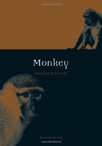 Monkey by Desmond Morris