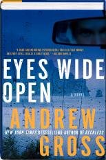 Eyes Wide Open by Andrew Gross