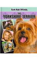 The Yorkshire Terrier (Our Best Friends)