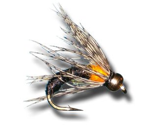 

BH Le Bug - Black Fly Fishing Fly