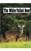 The White-Tailed Deer (Wildlife of North America) by Retold by: