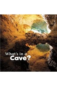 What's in a Cave?