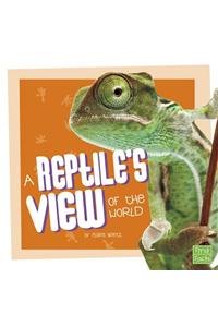 A Reptile's View of the World