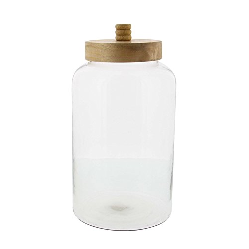 Algopix Similar Product 14 - Benzara Achromatic Jar with Wood Lid