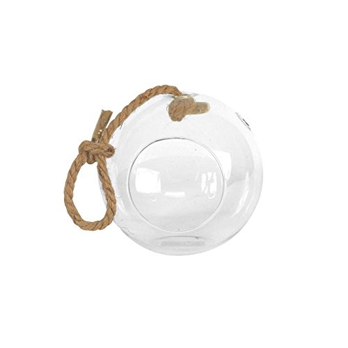 Algopix Similar Product 17 - Arcadia Garden Products Sphere 5 in x