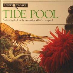 Tide Pool (Look Closer) by Christiane Gunzi