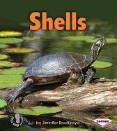 Shells by Jennifer Boothroyd