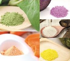 【国産野菜限定使用】野菜パウダーお試しセット各10g入り(野菜パウダー100% 粉末野菜) [その他]