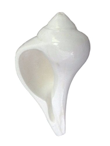 Algopix Similar Product 14 - IndianStore4All Dakshinavarti Shri