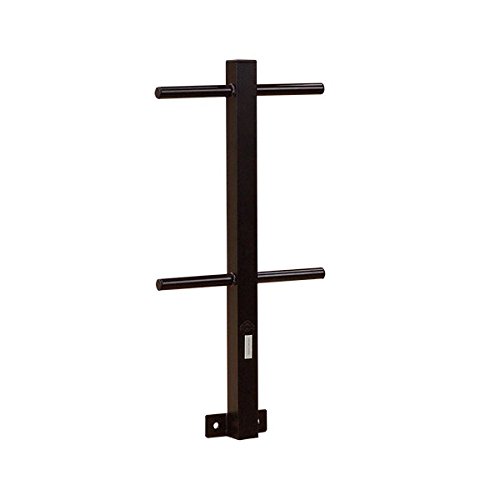 Algopix Similar Product 15 - BodySolid GWT4 Standard Weight Tree