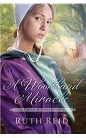 A Woodland Miracle: An Amish Wonders Novel by Ruth Reid