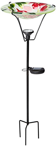 Algopix Similar Product 10 - Continental Art CAC2610410A 11 Solar