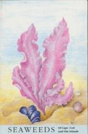 Seaweeds of Cape Cod and the Islands by John Merriam Kingsbury