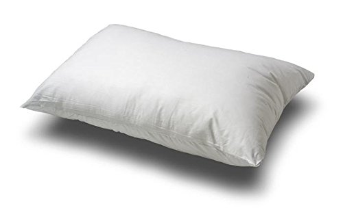 

Queen Size White Goose Feather and Goose Down Pillow