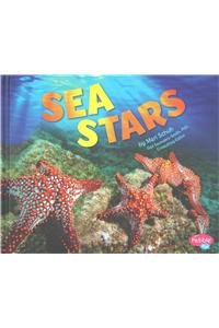 Sea Stars