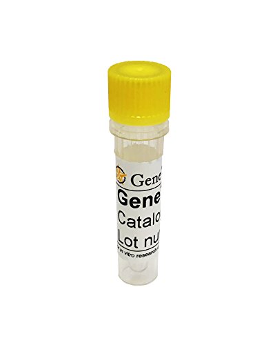 Algopix Similar Product 10 - Klotho recombinant Protein 20 g