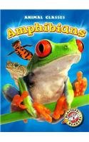 Amphibians (Animal Classes)