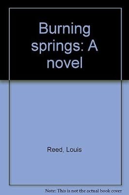 Burning springs: A novel