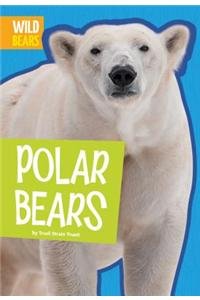 Polar Bears by Trudi Strain Trueit