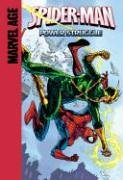 Power Struggle (Spider-Man - 10 Titles) by Sean McKeever