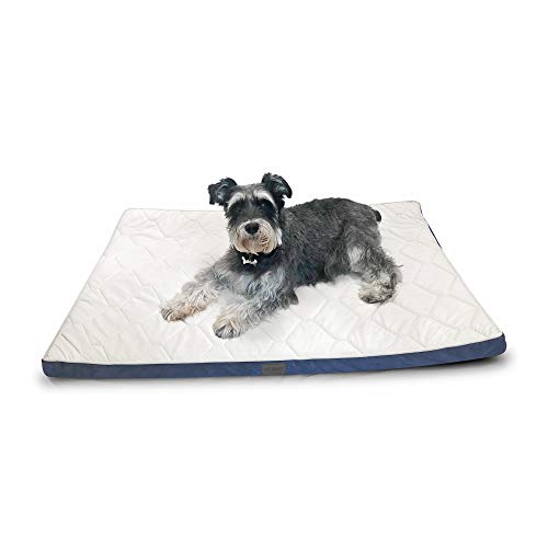 Algopix Similar Product 3 - 