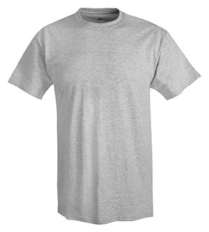 Hanes Men's X-Temp Performance T-Shirt