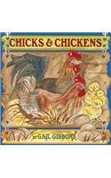 Chicks &amp; Chickens