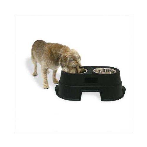 

Dog Congratulations Amazed Elevated Feeding