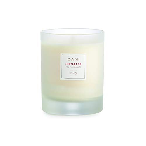 Algopix Similar Product 1 - DANI Naturals Scented Soy Candle 