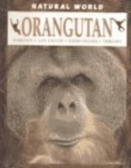 Orangutan (Natural World (Hardcover Raintree))