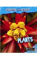 Plants by Melanie Waldron