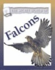 Falcons (Secret World of...) by Jill Bailey