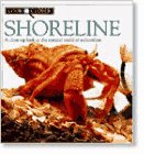 Shoreline (Look Closer)
