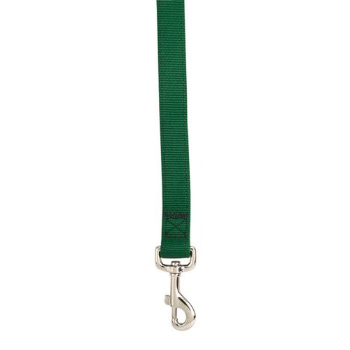 Guardian Gear Nylon Dog Double Layer Basic Lead, 6-Feet, Hunter Green