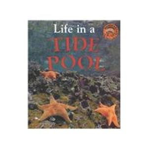 Life in a Tide Pool (Microhabitats) by Clare Oliver