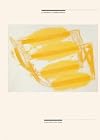 Luminous Impressions Prints from Glass Plates