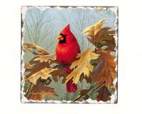 

Cardinals Number 2 Single Tumbled Tile Coaster