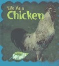 Life as a Chicken