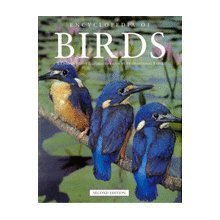 Encyclopedia Of Birds: A Comprehensive Illustrated Guide By International Exper by David Kirshner
