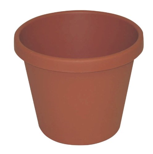 

Classic Pot For Planting